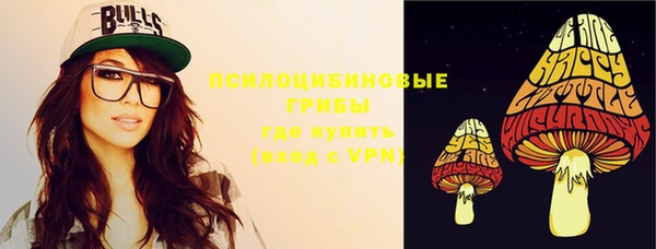 ГАЛЛЮЦИНОГЕННЫЕ ГРИБЫ Алексеевка