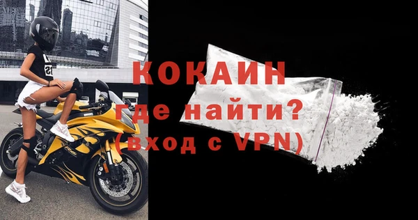 гашик Аркадак