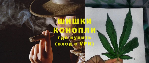 ГАЛЛЮЦИНОГЕННЫЕ ГРИБЫ Алексеевка
